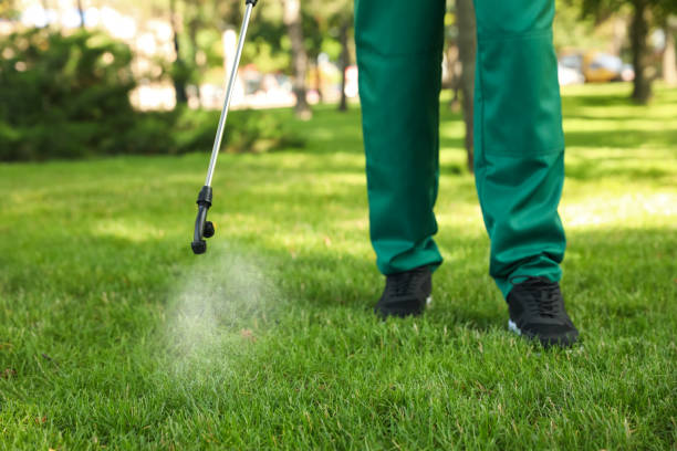 Best Termite Control Services  in Sneedville, TN