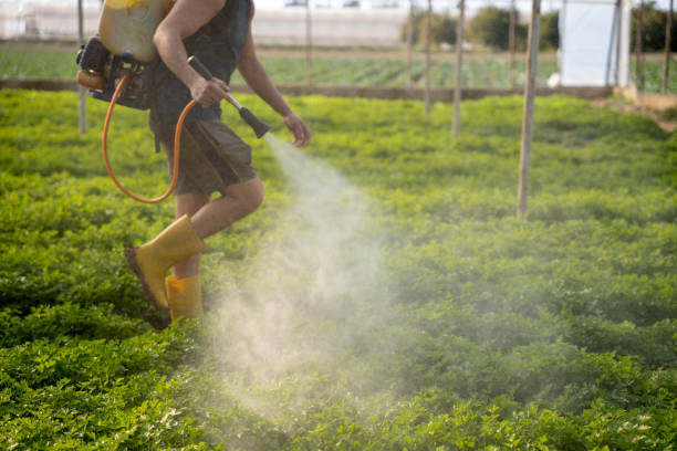 Best Pest Control for Restaurants  in Sneedville, TN