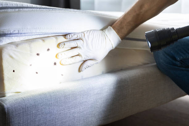 Best Insect Control  in Sneedville, TN