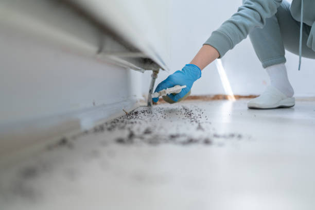 Best Best Pest Control Companies  in Sneedville, TN