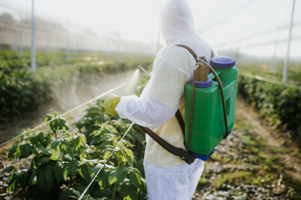  Sneedville, TN Pest Control Pros